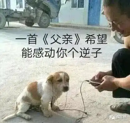 如果你是玛丽苏文中的男二怎么办