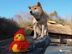  那个很著名的表情包狗狗去世了...网友你永远活在我的微信中