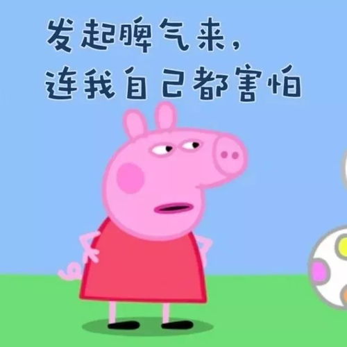  关注柳州一女学生被锁头殴打警方打人者系社会青年
