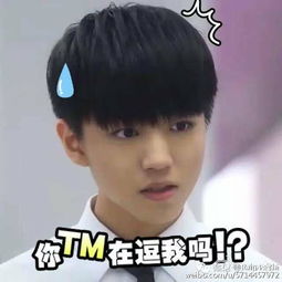 小螃蟹我没钱了表情包