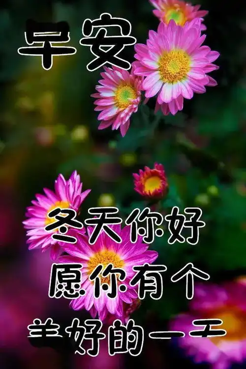 12月7日最漂亮早上好动态表情图片大全,早晨好动图美图大全  12月7日最漂亮早上好动态表情图片大全,早晨好动图美图大全