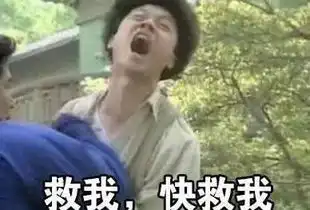  斗图表情包不要吵,让我静静的玩王者荣耀