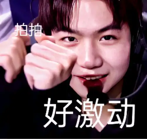  kpl顶流们的表情包无畏九尾钎城葛大爷fly清清