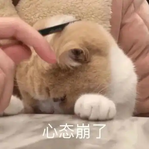  一铺坑三代世贸宝龙们的商铺包租骚操作到底是如何割韭菜的