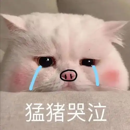  黄黑皮成功逆袭化身直男斩冷白皮太牛了