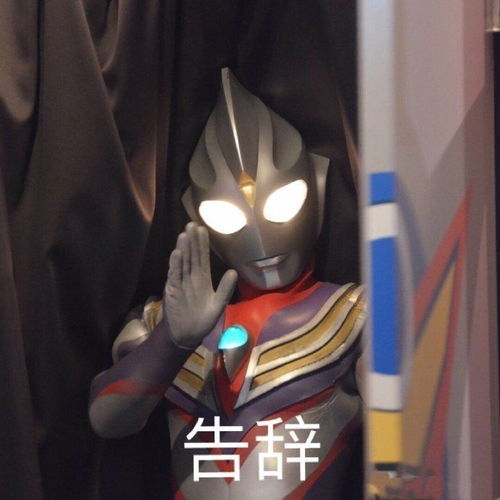  奥运会期间有哪些沙雕朋友圈文案和表情包