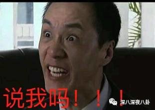 孙俪表情包搞笑