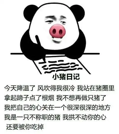 大部分渣男的表情包丁真