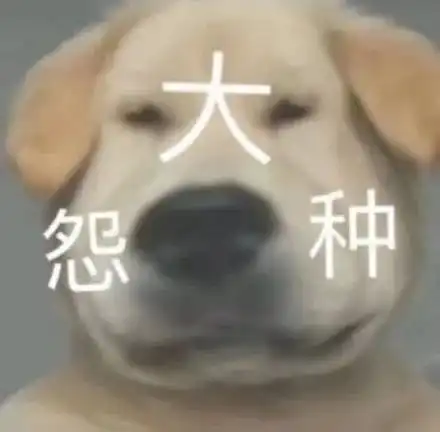 阿飞发博安慰国足心碎粉,菠萝赛东新年大赦天下