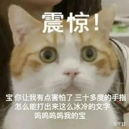  选导师被鸽到人都麻了