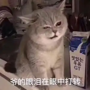 罗罗布表情包像素版委屈