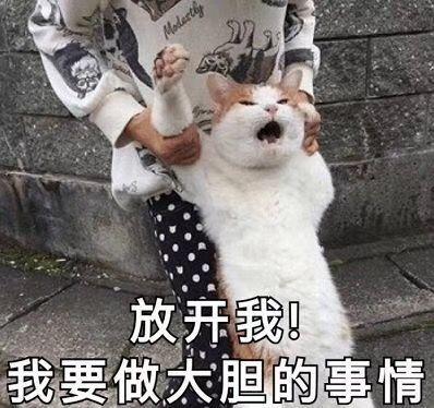  有个拖延症的室友是什么体验