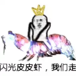  纽约妹子8㎡蜗居也住得美滋滋秘诀竟是让家具上墙