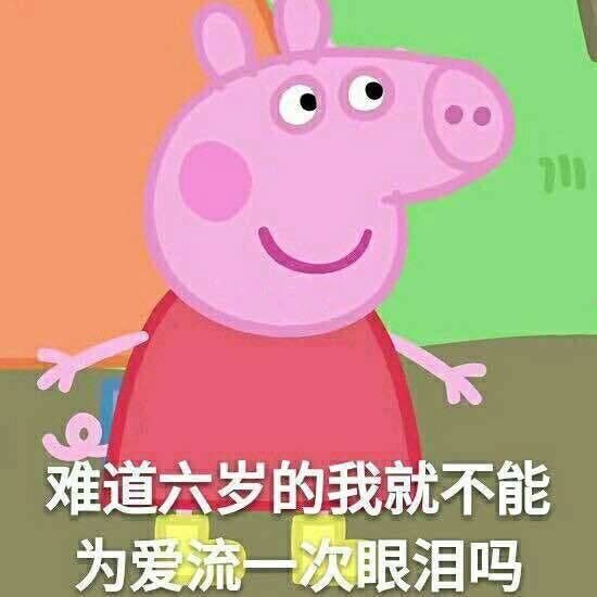  表情包像我这种人你除了宠着也没其他办法