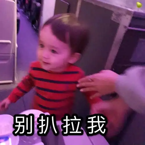  本特利表情包第八弹