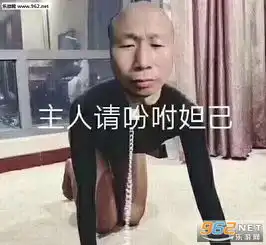  求求了表情包错过我这么好的仙女表情包图片下载乐游网游戏下载