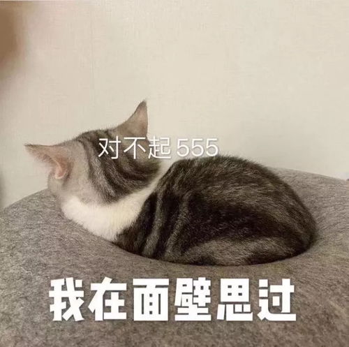  吵架以后给对方台阶下的表情包