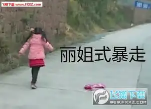 社会你丽姐图片无水印版下载社会你丽姐表情包系列下载社会我丽姐表情包飞翔下载
