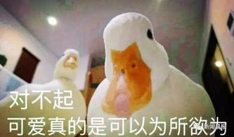  今年流行养鸭子王思聪3万元买只宠物鸭肤白貌美网上已有同款,鸭蛋也要500块