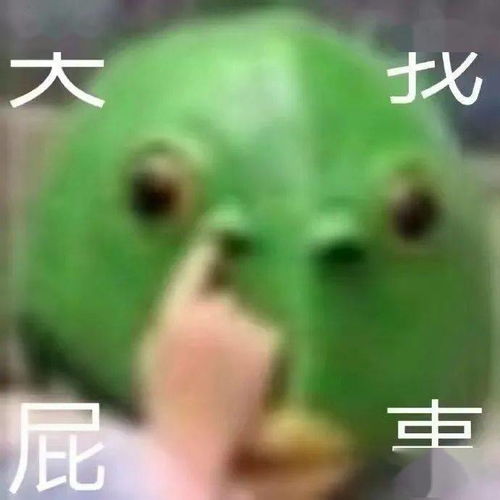  沙雕搞笑表情包i我不李姐