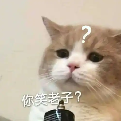  表情包我懂了,我就是一个惹人讨厌的美丽女孩