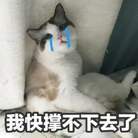  万万没想到令日本留学党最受累的并不是考学,而是它