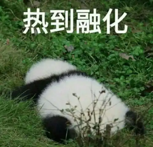 panda可爱表情包段子