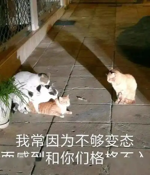  当你假装在狗狗面前晕倒哈哈哈哈结局是万万没想到