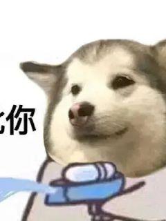  纵横中文网