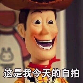搞笑的表情图片大全自拍
