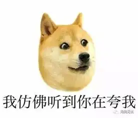  铲屎官与宠物的颜值的大比拼来比比呀