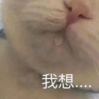  表情包系列猫猫表情包