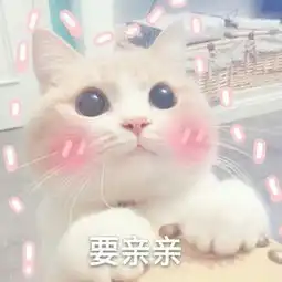 兔子吞脑袋表情包一套表