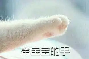  关于出轨人性与道德的博弈