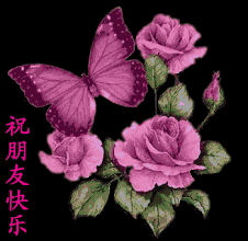  野花不能采太搞笑了,送给群里的朋友们