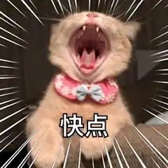 猫咪炫饭表情包