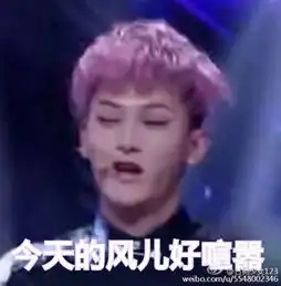  黄子韬表情包法法表情包黄子韬今天的风堆糖,美好生活研究所