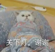 这届年轻人已经想好墓志铭了