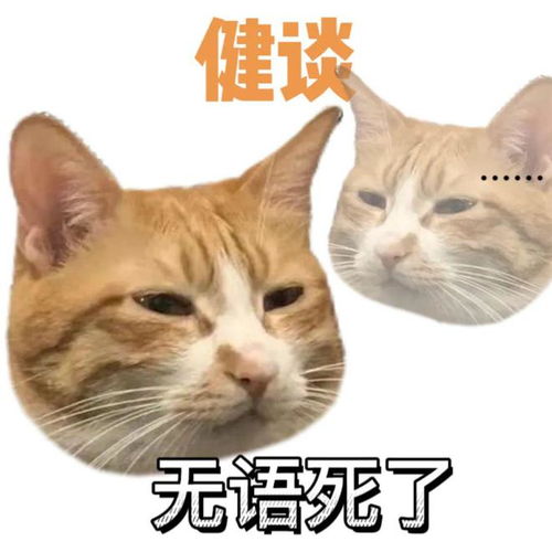  周末福利活捉姜哥
