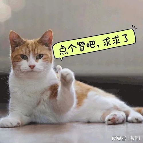  不经历风雨,怎能见彩虹