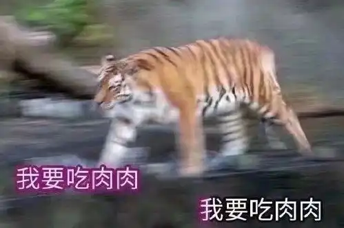 小坏蛋表情包内容
