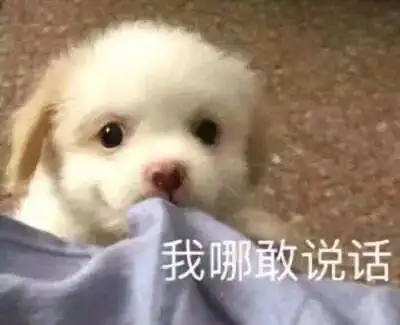  梁月伴侣之间的没主意日常