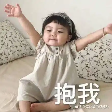 吹头发表情包