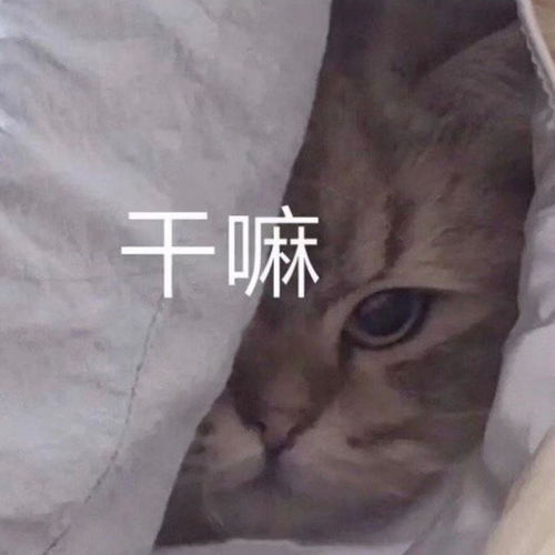 丧黑福造表情包小鱼干