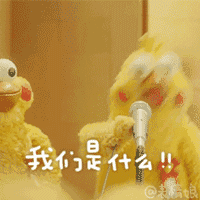 老婆你真棒动态表情包鹦