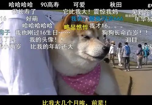  2021年十一月第四周风纪委员周报