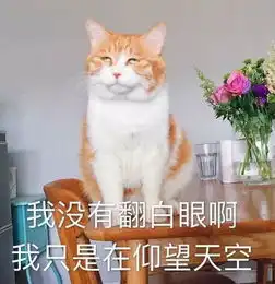  原创回南天,我要和你抗争到底