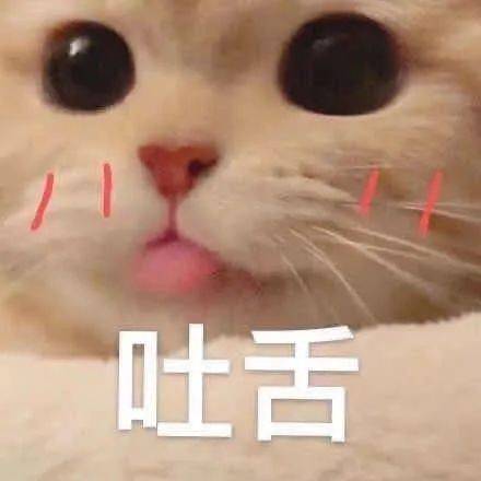  承包你的衣食住行玩,湖南iptv本地生活频道全新上线啦