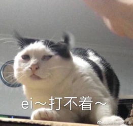  一个表情就让你暴露年龄超准哦
