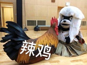  77张鸡表情包祝你鸡年大吉吧